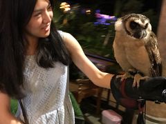 -清迈夜间动物园