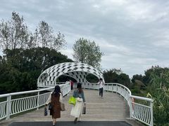 -同里国家湿地公园