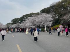 -人民广场-地下停车场