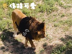 -石家庄市动物园