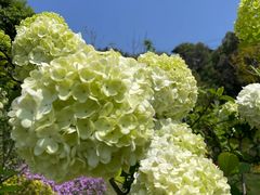 -重庆平顶山公园