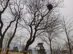 -北京西山国家森林公园