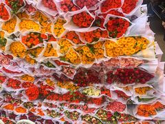 -昆明国际花卉拍卖交易中心