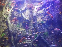 -杭州开元森泊度假乐园