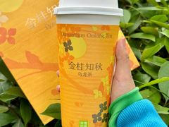 -奈雪的茶(正弘城PRO+店)