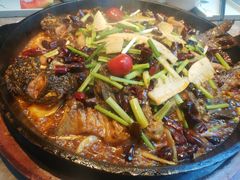 -老板恋上鱼(恒隆广场店)