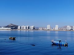 -星光岛
