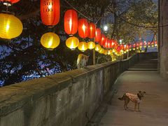 -山城巷传统风貌区