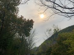 -金钉子远古世界景区
