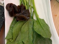 -呷哺呷哺 黄金牧场 (新辰里学清路店)