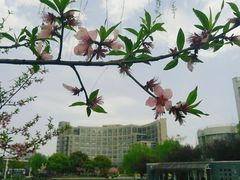 -杭州师范大学(下沙校区)
