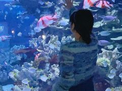 -左海海底世界