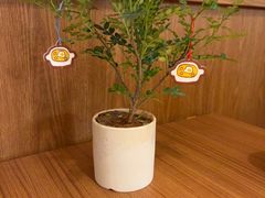 -CURRY YA 熟成咖哩專門店(深圳湾万象城店)
