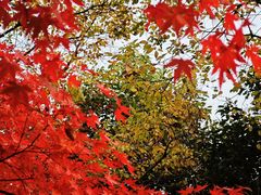 -西山漾湿地公园