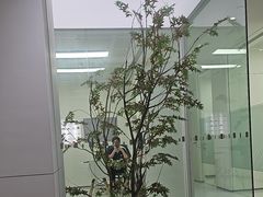 -极简口腔(总院)
