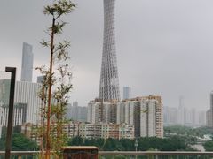 -小茶闲舍·观景商务茶馆(广州塔店)