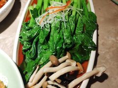 豆豉油麦菜-新白鹿餐厅(金鹰新街口店)