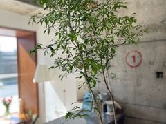 -不正咖啡(万达尊店)