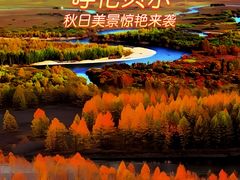 -莫尔道嘎国家森林公园