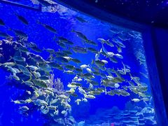 -海合安武汉极地海洋公园