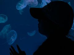 -多彩贵州城极地海洋世界