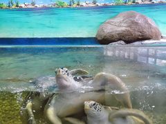 -苏州海洋馆