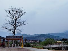 -福建土楼（华安）旅游区•大地土楼群