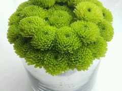 android_upload_pic-广州四季酒店·意珍·意式自助餐