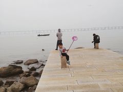 -宝安西湾红树林湿地公园