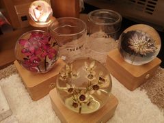 -二酉书店TOYOU BOOKS