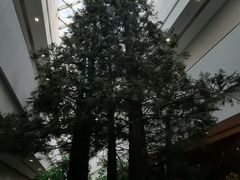 -中国湿地博物馆