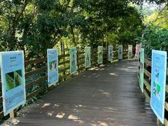 -野象谷景区