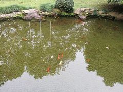-浙江西湖美术馆