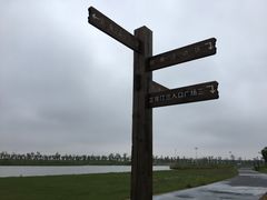 -春花秋色城市公园