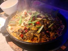 -老板恋上鱼(恒隆广场店)