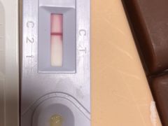 -瑞派·关忠动物医院·异宠专科·犬猫肿瘤·皮肤专科(望京店)