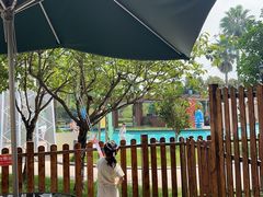 -宁波九龙湖开元度假村