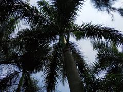 教学楼-厦门大学(思明校区)