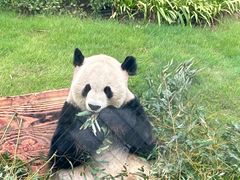 -无锡动物园·太湖欢乐园