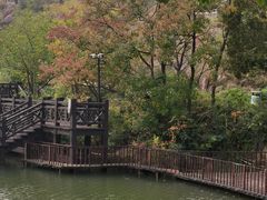 -白马涧龙池景区