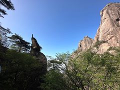 -黄山风景区
