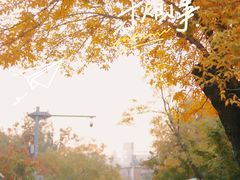 -民园广场