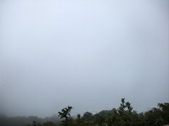 -大围山国家森林公园