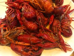 -嘉定凯悦·咖啡厅