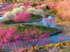 -上海海湾国家森林公园
