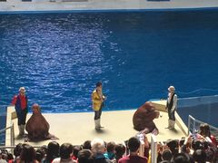 -泉城欧乐堡海洋极地世界