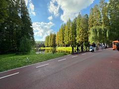 -黄海国家森林公园