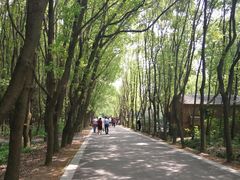 -同里国家湿地公园