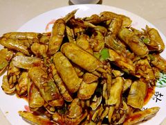 辣炒蛏子-天津乾毓德饭庄·清真传统炒菜·海鲜烧烤(咸阳路店)