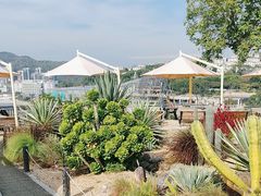 -Brew Farm·精酿农场海滨悬崖餐厅